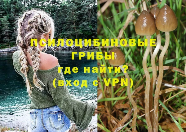 тгк Зарайск