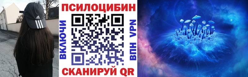 Псилоцибиновые грибы Psilocybe  Верхнеуральск 